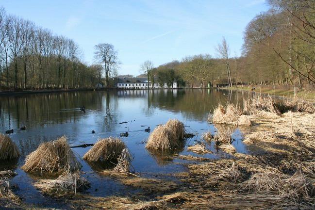 Qui connaît de bons restos vers Etterbeek et Auderghem ? Je viens d'emménager et je ne connais rien du tout ici !