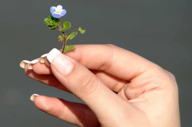 Qui connaît un bon prothésiste ongulaire à Charleroi qui fait du bon travail et peut prendre soin de mes ongles ?