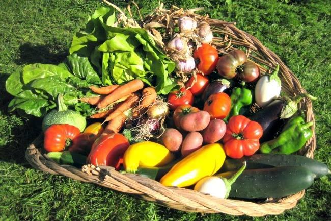 Qui connaît une bonne adresse pour acheter et récupérer un panier de légumes bio ?