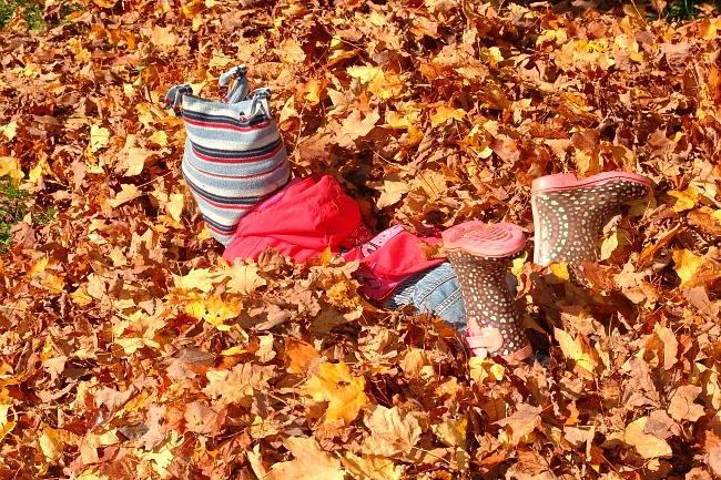 Qui connaît un bon endroit à maximum 1h de route pour se promener et profiter des jolies couleurs de l'automne?