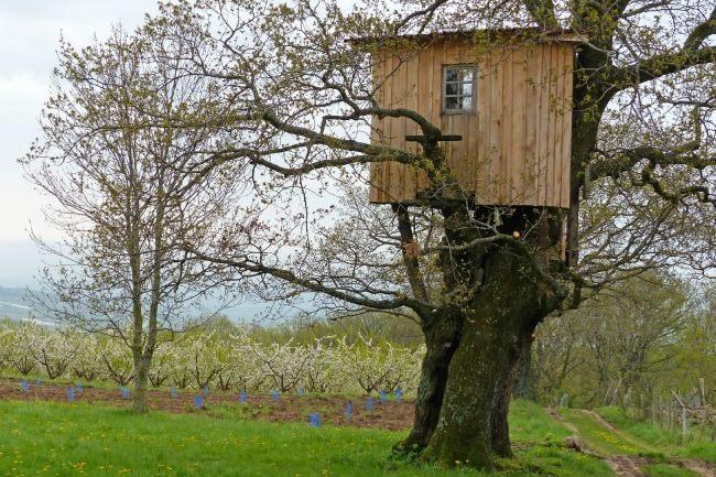 Un bon architecte ou artiste qui fait des cabanes dans les bois ?