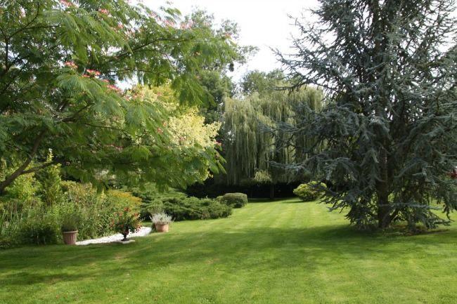 Qui connaît une bonne entreprise d'élagage ? Nous cherchons une entreprise pour élaguer des trèèès grands arbres dans notre jardin. Devis gratuit et travail sérieux, c'est mieux.